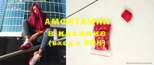 шишки Шадринск