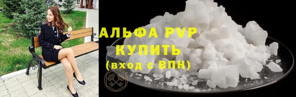 шишки Шадринск