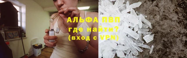 шишки Шадринск