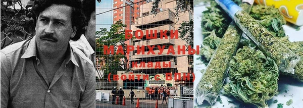 прущие крисы Шали