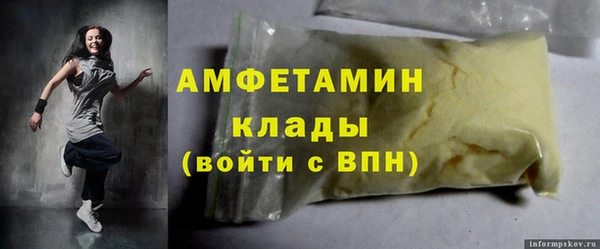 шишки Шадринск