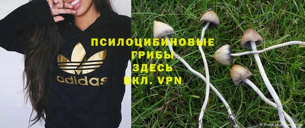 прущие крисы Шали