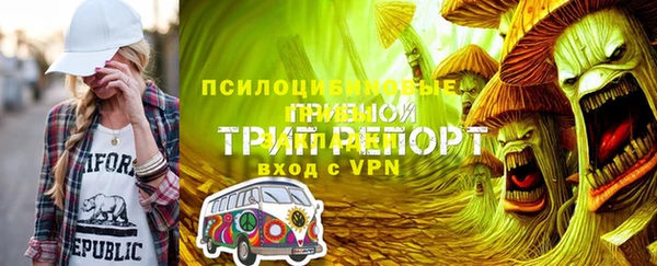шишки Шадринск