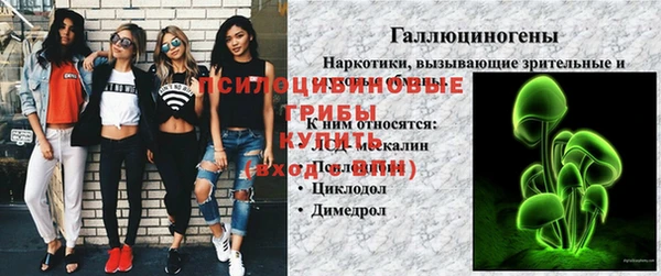 прущие крисы Шали