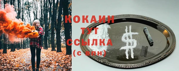 прущие крисы Шали