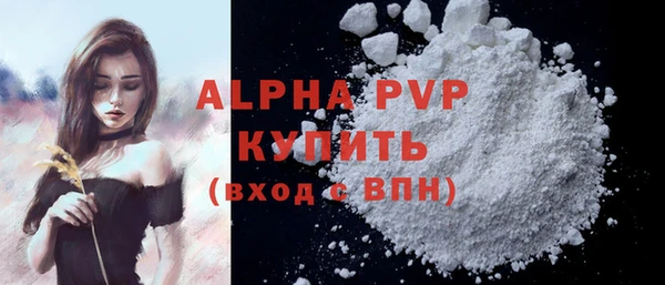 шишки Шадринск