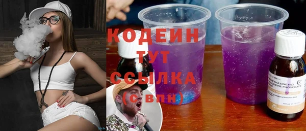 шишки Шадринск