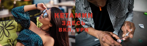 шишки Шадринск
