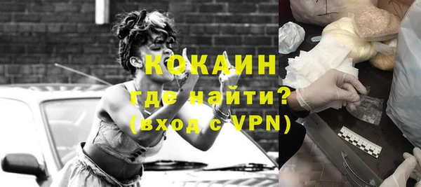 шишки Шадринск