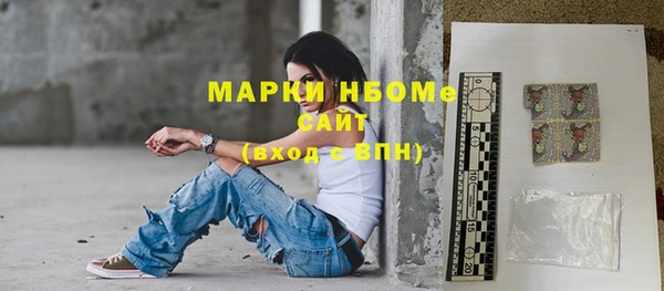 шишки Шадринск